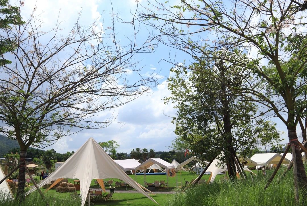 石兄弟 | 一群人，一個目標(biāo)，一起成長！